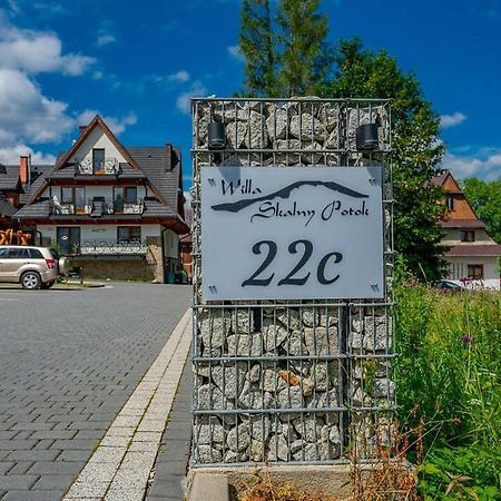 Willa Skalny Potok Zakopane Buitenkant foto