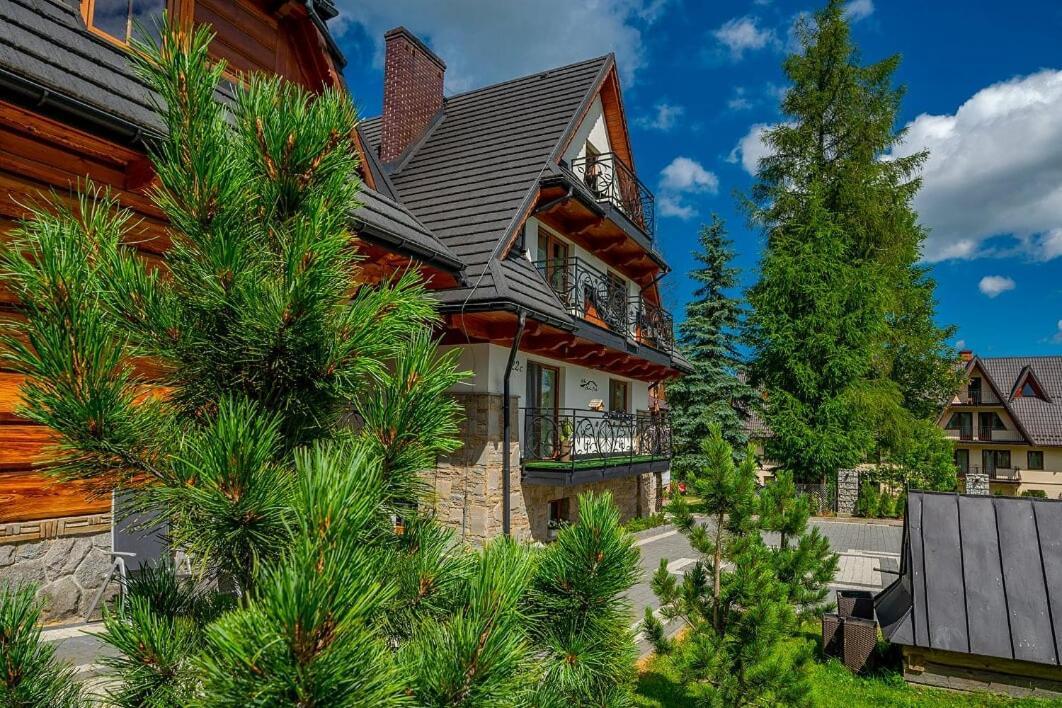 Willa Skalny Potok Zakopane Buitenkant foto
