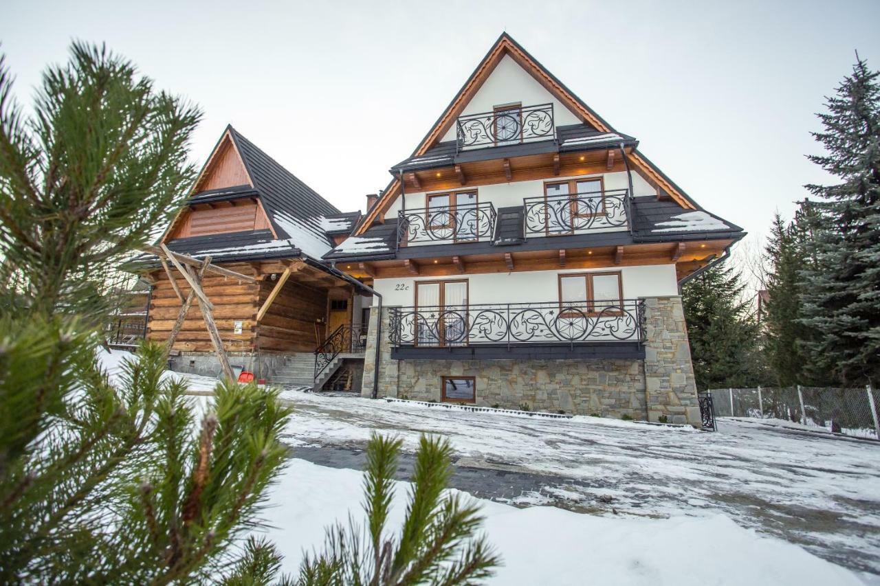 Willa Skalny Potok Zakopane Buitenkant foto