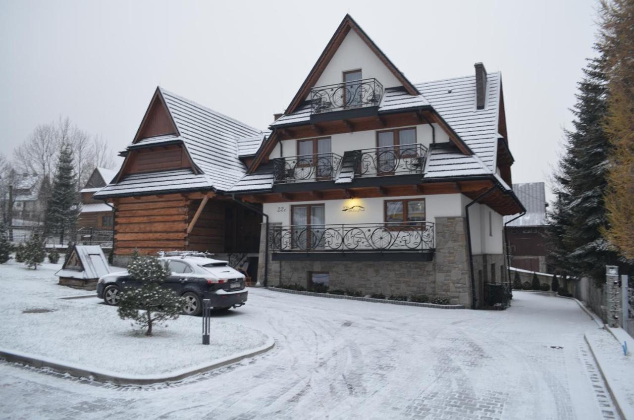 Willa Skalny Potok Zakopane Buitenkant foto